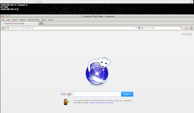Iceweasel, running on a Linode