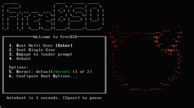 FreeBSD welcome.